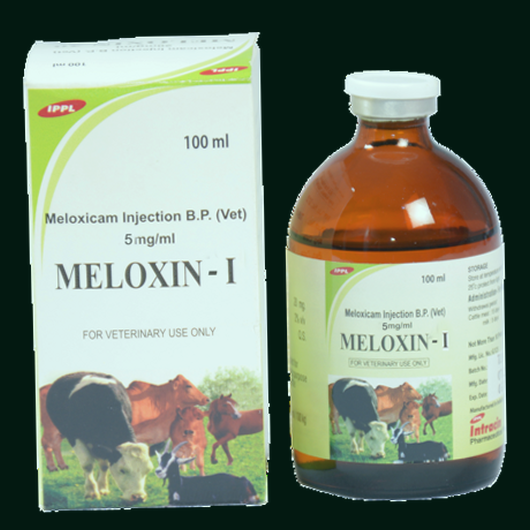 Meloxin indications
